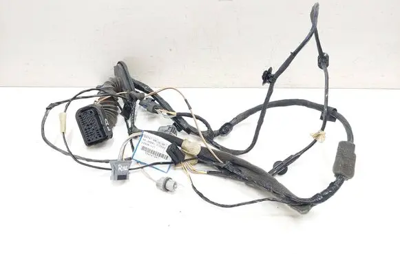 Renault Espace - Grand espace IV Front door wiring loom 8200517567