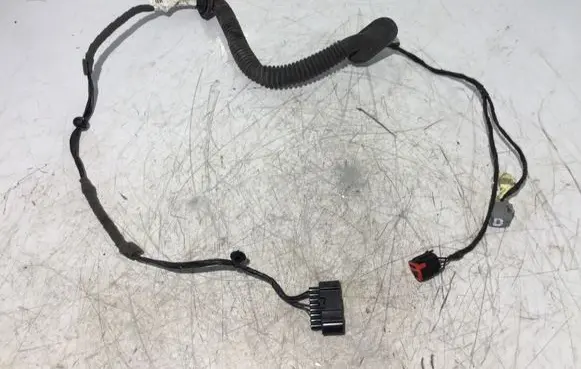Front door wiring loom