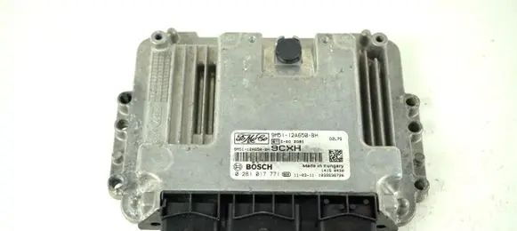 Engine control unit/module ECU