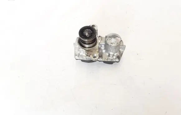 Renault Megane III EGR valve