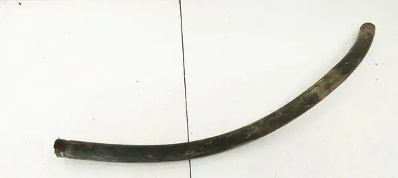 Renault Scenic I Engine coolant pipe/hose