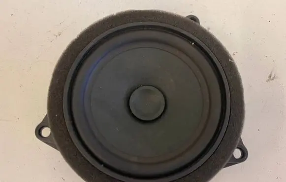 BMW X3 G01 Rear door speaker 6809626