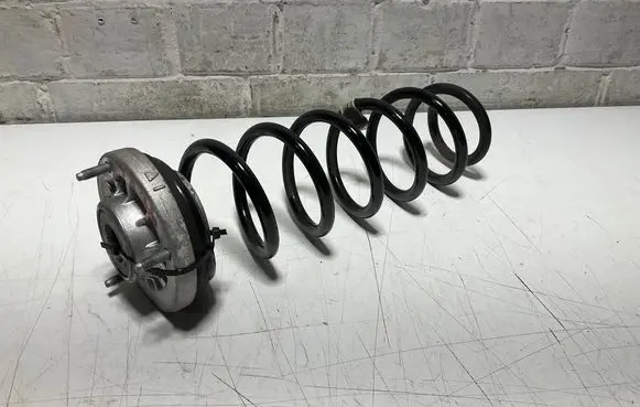Rear coil spring