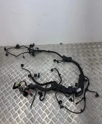 Engine installation wiring loom