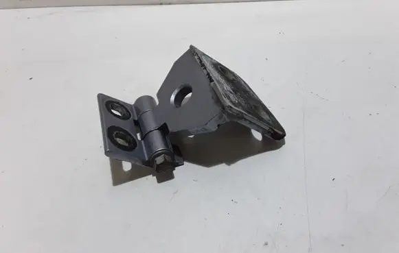 BMW X3 E83 Front door lower hinge 3402822