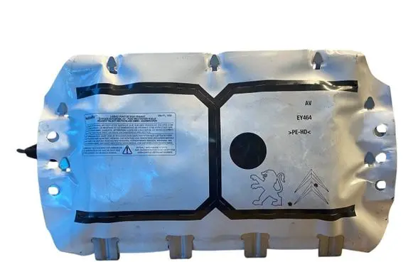 Peugeot 207 Passenger airbag 8216LL 9650100380 6048588B