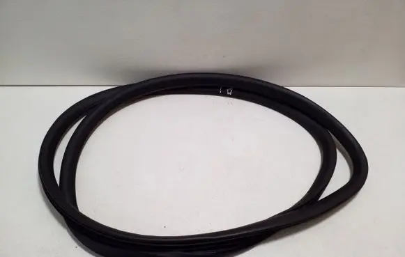 Opel Ampera Front door rubber seal 
