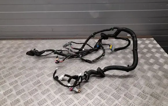 Tesla Model S Rear door wiring loom 100442400G