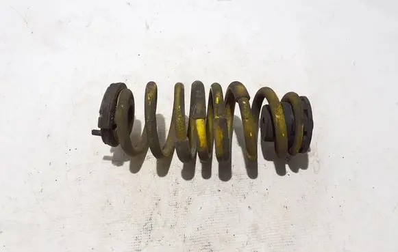 Rear coil spring