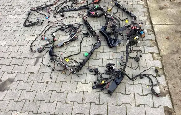 Porsche Taycan 9J1 Front door wiring loom/harness boot 9j1970000e