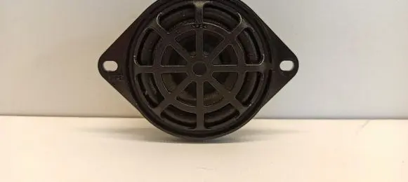 Panel speaker