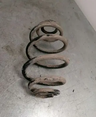 Volkswagen PASSAT B5.5 Rear coil spring