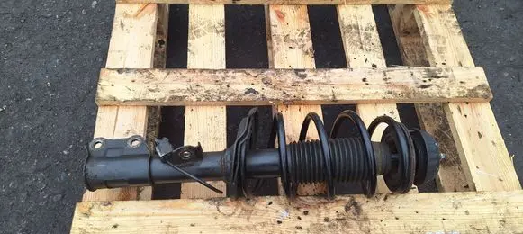 Hyundai i20 (PB PBT) Front shock absorber with coil spring 