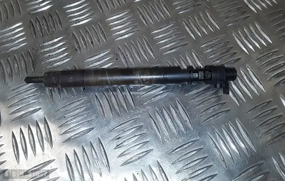 Ford C-MAX II Fuel injector 9686191080