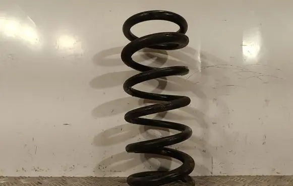 Infiniti QX80 Rear coil spring