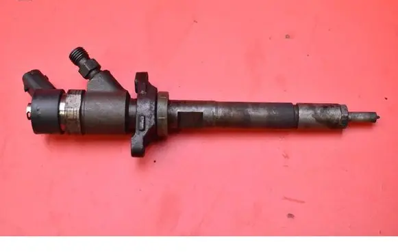 Peugeot 206 CC Fuel injector 0445110259