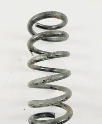 Ford Mustang VI Rear coil spring FR3C5560KC