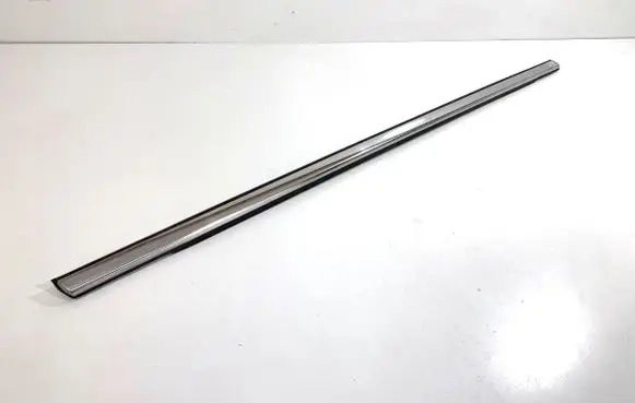 Ford Ecosport Front door glass trim molding