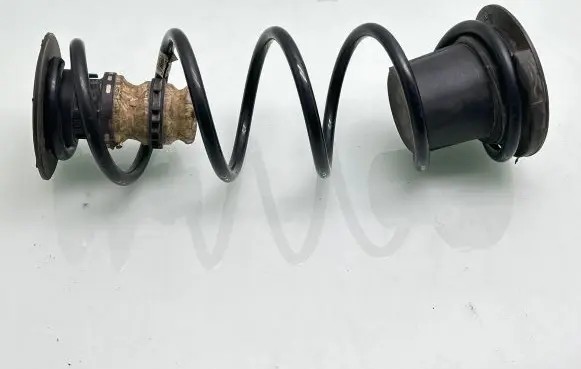 Citroen Berlingo Rear coil spring