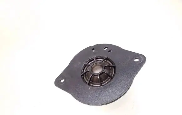 Front door high frequency speaker