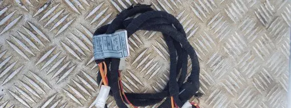 BMW X5 E53 Other wiring loom 6904165