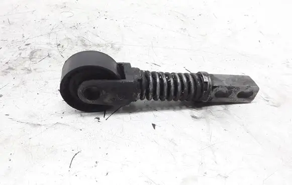 Renault Scenic I Generator/alternator belt tensioner 