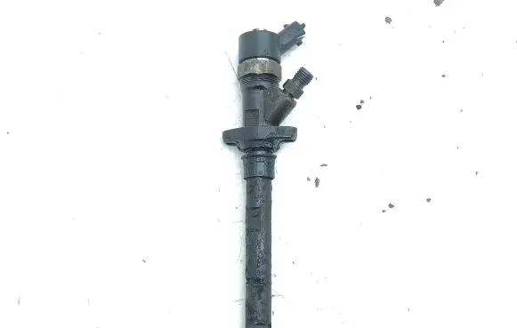 Peugeot 406 Fuel injector 0445110036 9637277980