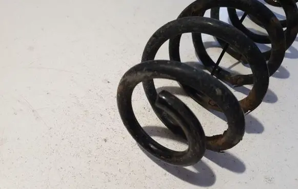 Rear coil spring