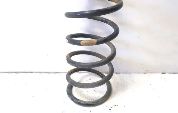 Rear coil spring