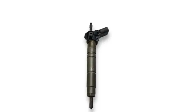 Mercedes-Benz R W251 Fuel injector 0445115027 A6420700587