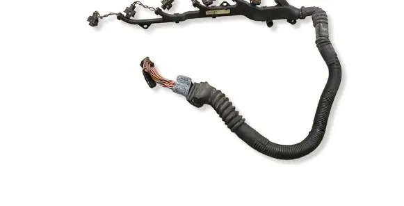 BMW 5 E39 Fuel injector wires 2249419 755023Z11