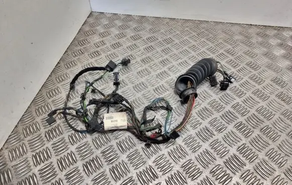 Front door wiring loom