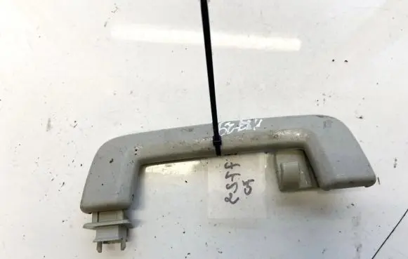 Ford Focus Rear interior roof grab handle