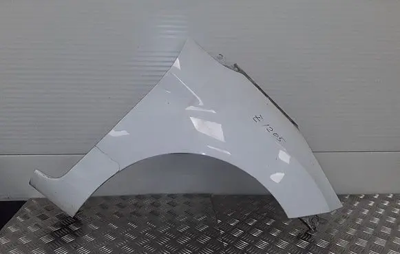 Ford Fiesta Fender 