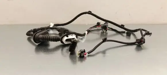 Tesla Model 3 Highland Rear door wiring loom 189732400B