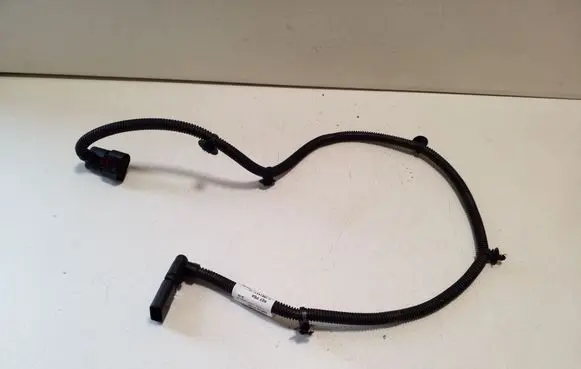 Other wiring loom