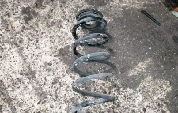 Fiat 500L Rear coil spring 