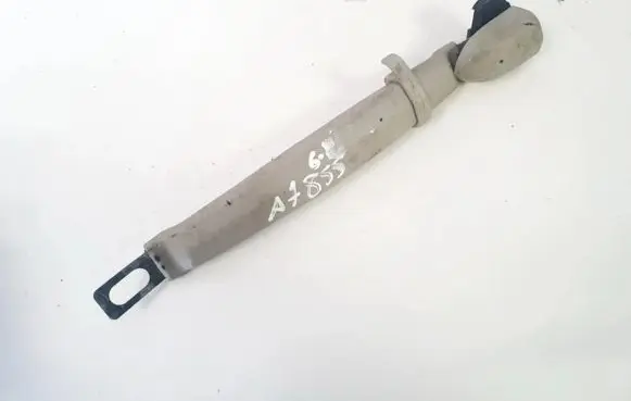 Hyundai Trajet Rear interior roof grab handle