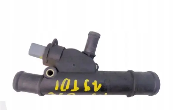 Thermostat/thermostat housing