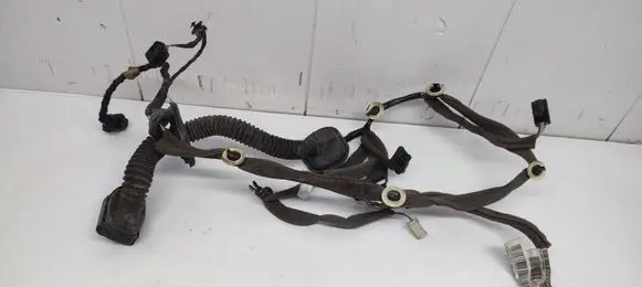 Renault Scenic III - Grand scenic III Front door wiring loom 241252327R 110525 2120394