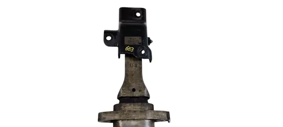 Hyundai Santa Fe Gearbox mount E01 S17 3D500