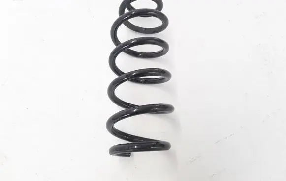 Front coil spring