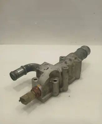 Thermostat/thermostat housing