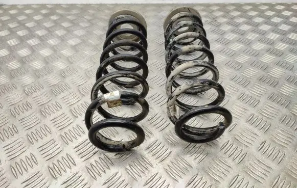 Volkswagen PASSAT B8 Rear coil spring