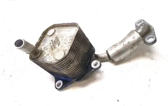 Toyota Hilux (AN120, AN130) Oil filter mounting bracket TG0240008141