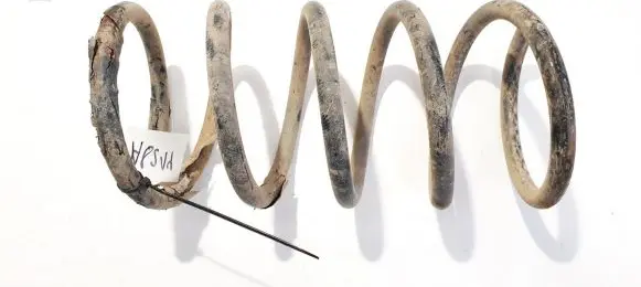 Volvo S60 Rear coil spring