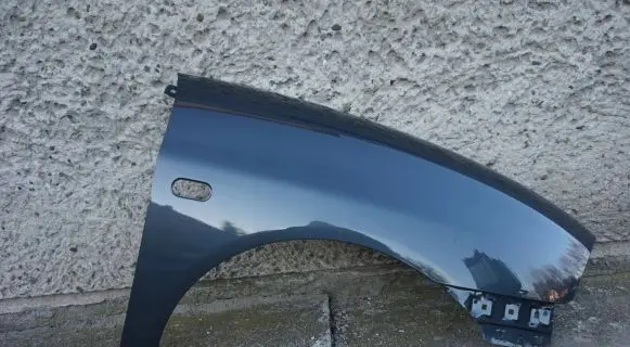 Seat Ibiza III (6L) Fender