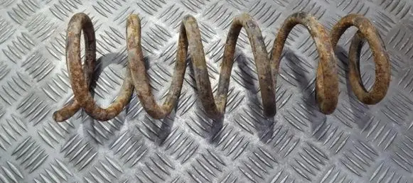 Peugeot 406 Rear coil spring