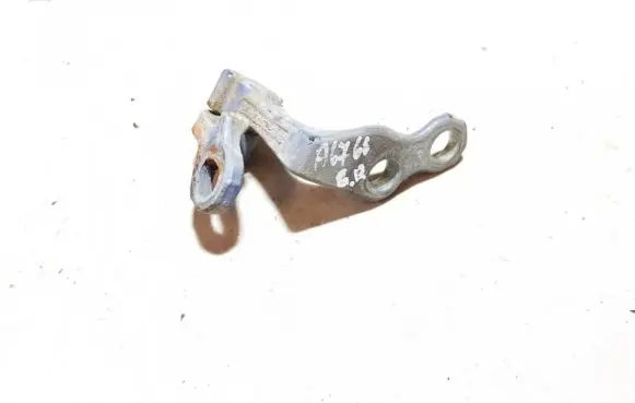 Rear door lower hinge