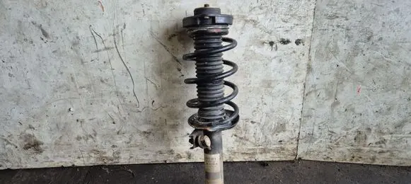 Volkswagen Golf Plus Front shock absorber with coil spring 317572